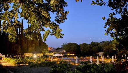 Hostellerie de l'Abbaye de La Celle - Soirée blanche - concert dans les vignes